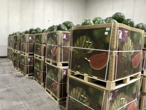 %fresh fruits%