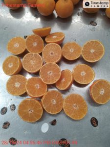 %fresh fruits%