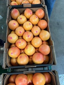%fresh fruits%
