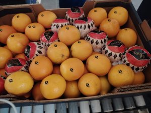 %fresh fruits%