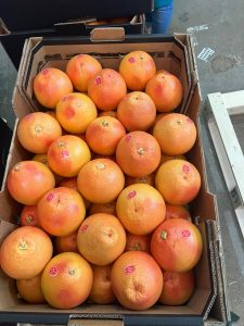 %fresh fruits%