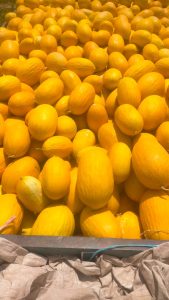 %fresh fruits%