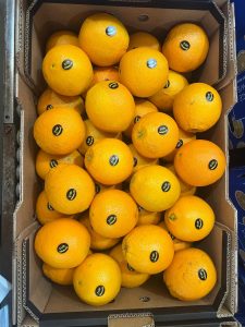 %fresh fruits%