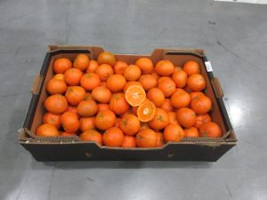 %fresh fruits%