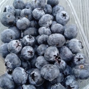 %fresh fruits%