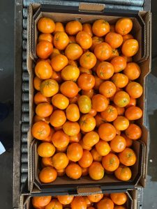 %fresh fruits%