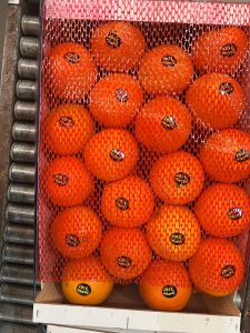 %fresh fruits%