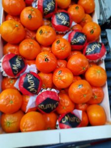 %fresh fruits%