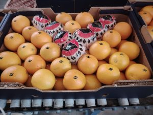 %fresh fruits%