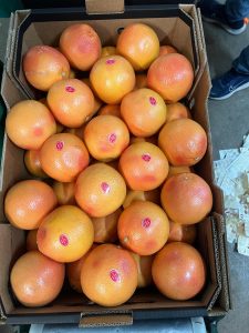 %fresh fruits%