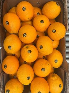 %fresh fruits%