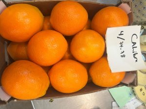 %fresh fruits%
