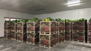 %fresh fruits%