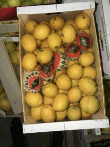 %fresh fruits%