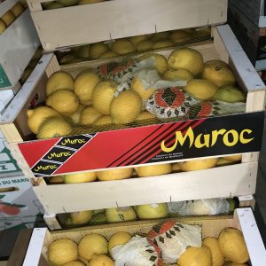 %fresh fruits%