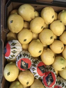 %fresh fruits%