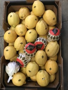 %fresh fruits%