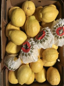%fresh fruits%