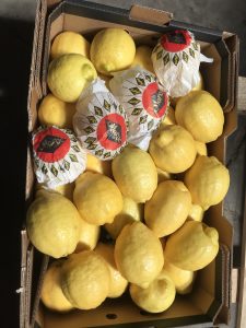 %fresh fruits%