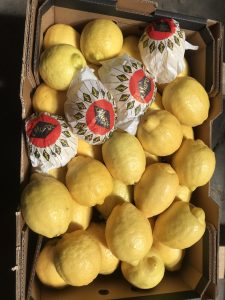%fresh fruits%