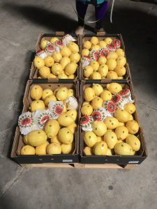 %fresh fruits%