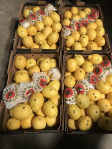 %fresh fruits%