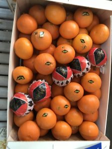 %fresh fruits%