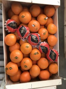 %fresh fruits%