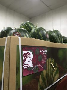 %fresh fruits%
