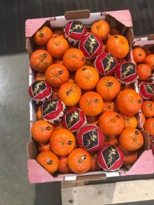 %fresh fruits%