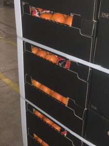 %fresh fruits%