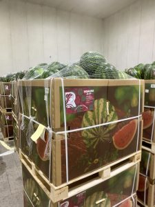 %fresh fruits%