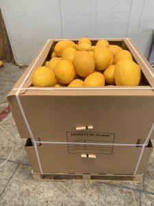%fresh fruits%