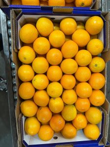 %fresh fruits%