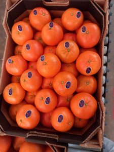 %fresh fruits%