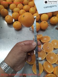 %fresh fruits%