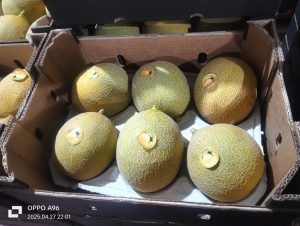 %fresh fruits%