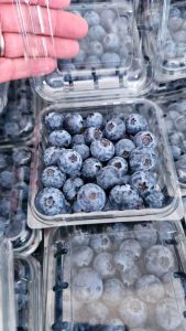%fresh fruits%