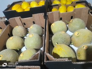 %fresh fruits%